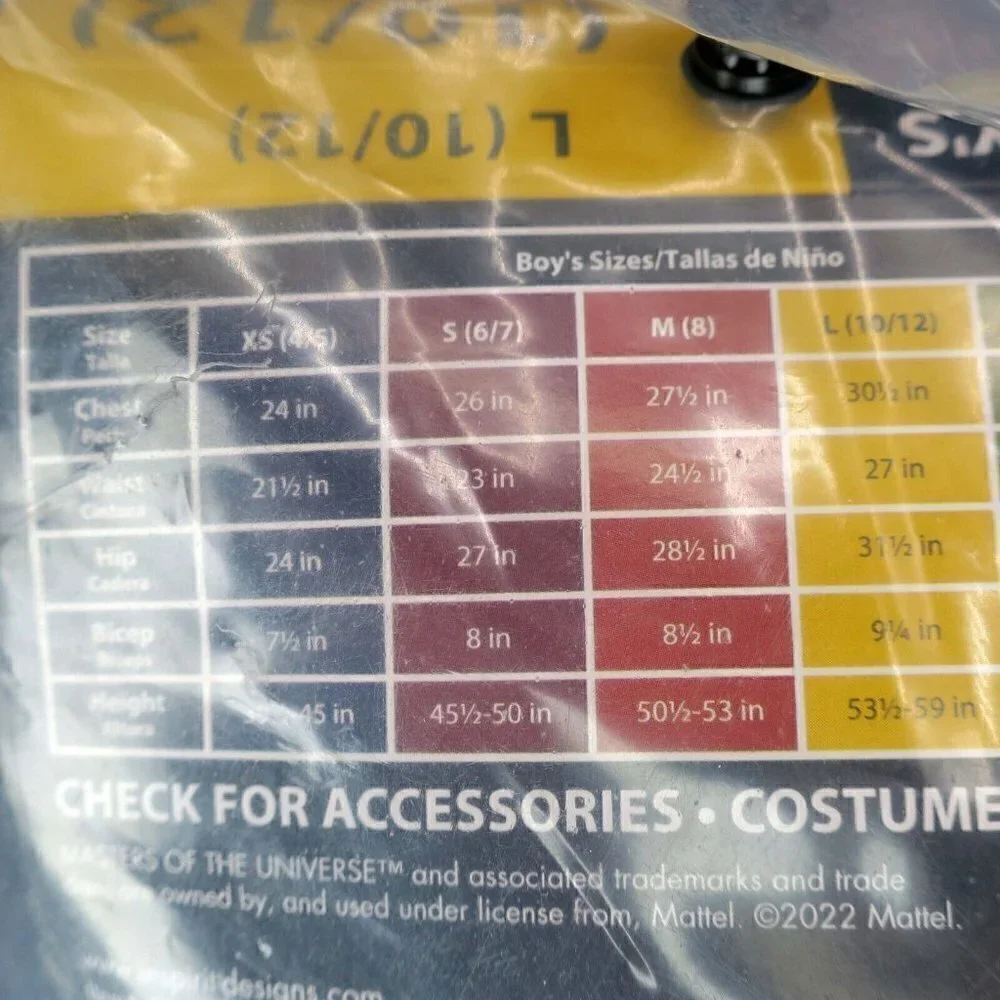 He-Man Masters of the Universe Netflix Halloween Costume Youth Boys Large 10/12